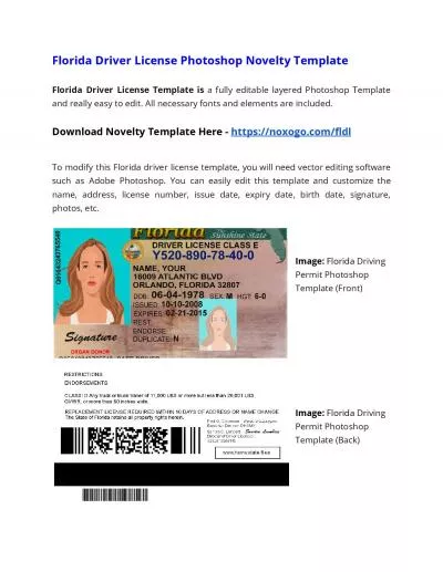 Florida Drivers License Photoshop Novelty Template