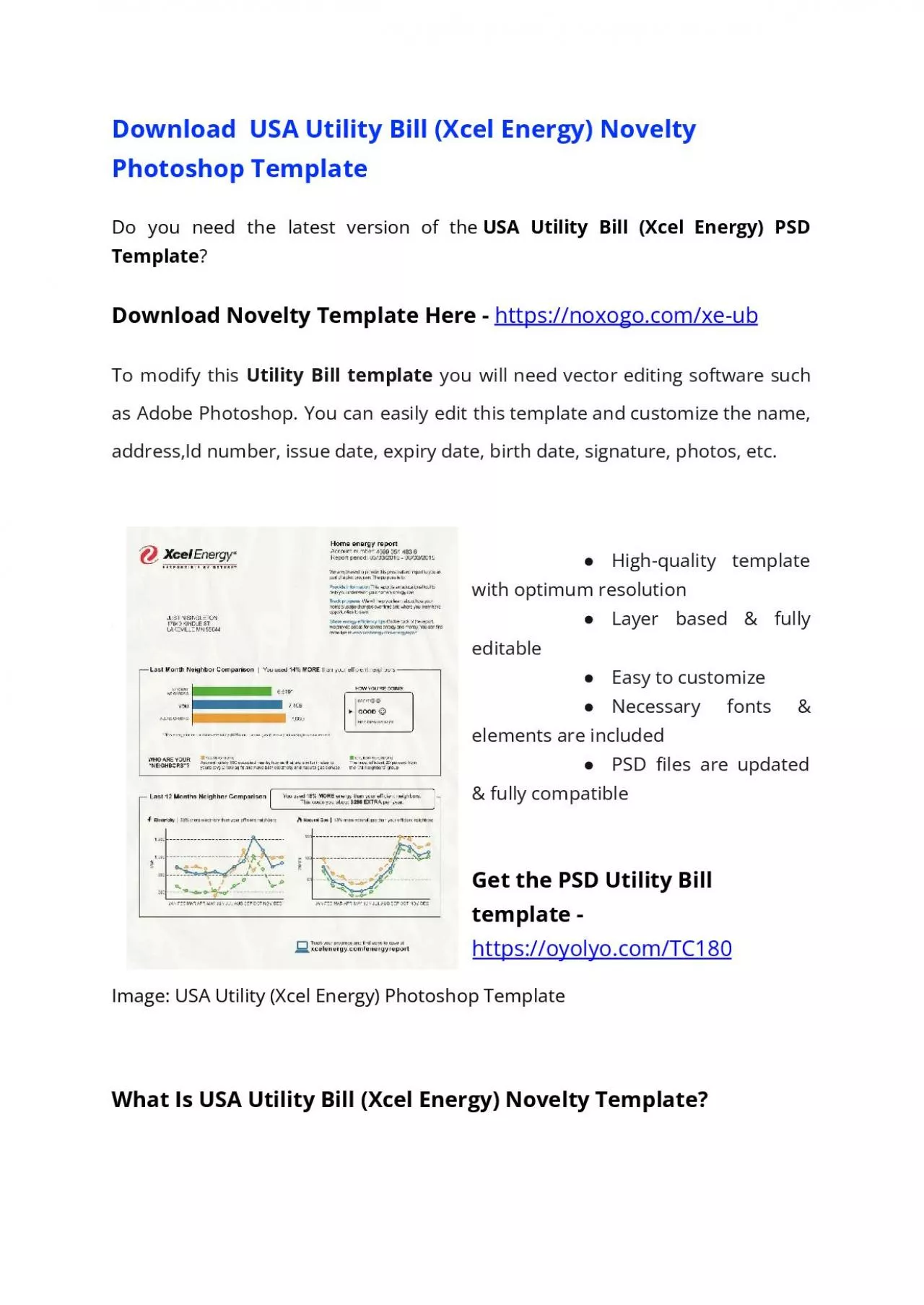 PDF-USA Utility Bill PSD Template (Xcel Energy) – Proof of address