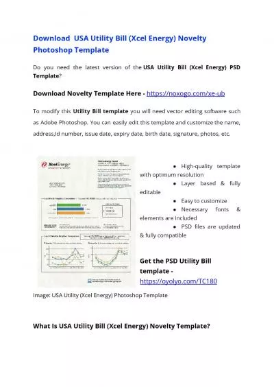 USA Utility Bill PSD Template (Xcel Energy) – Proof of address