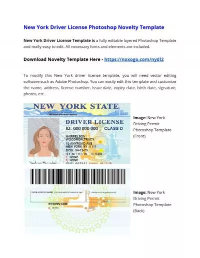 New York Drivers License Photoshop Novelty Template