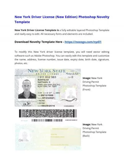 New York Drivers License Photoshop Novelty Template (New Edition)