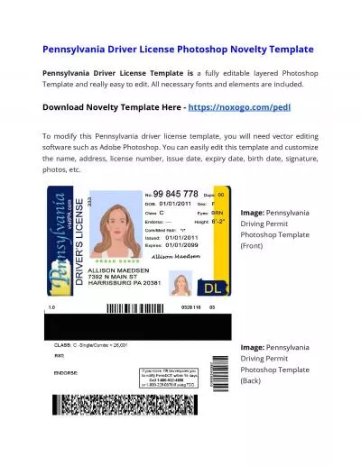 Pennsylvania Drivers License Photoshop Novelty Template