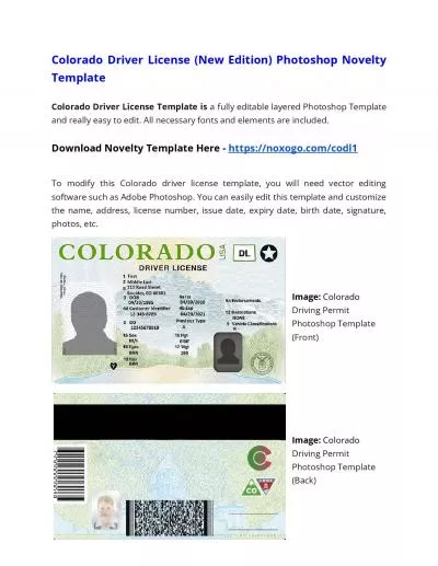 Colorado Drivers License (New Edition) Photoshop Novelty Template