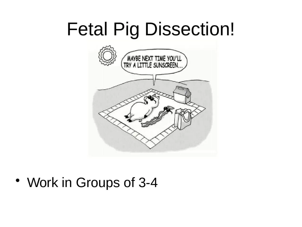 PPT-Fetal Pig Dissection! Work in Groups of 3-4