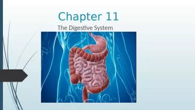 Chapter 11 The Digestive System
