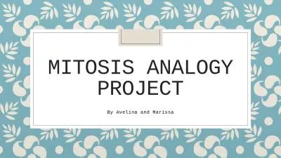 Mitosis Analogy Project By Avelina and Marissa