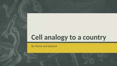 Cell analogy to a country