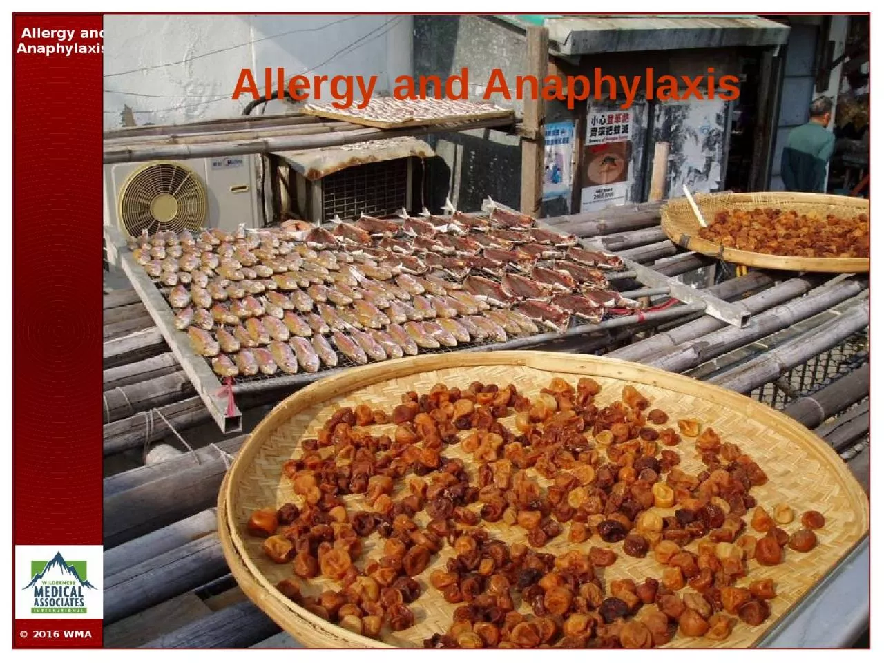 PPT-Allergy and Anaphylaxis Type 1 Allergic Reactions