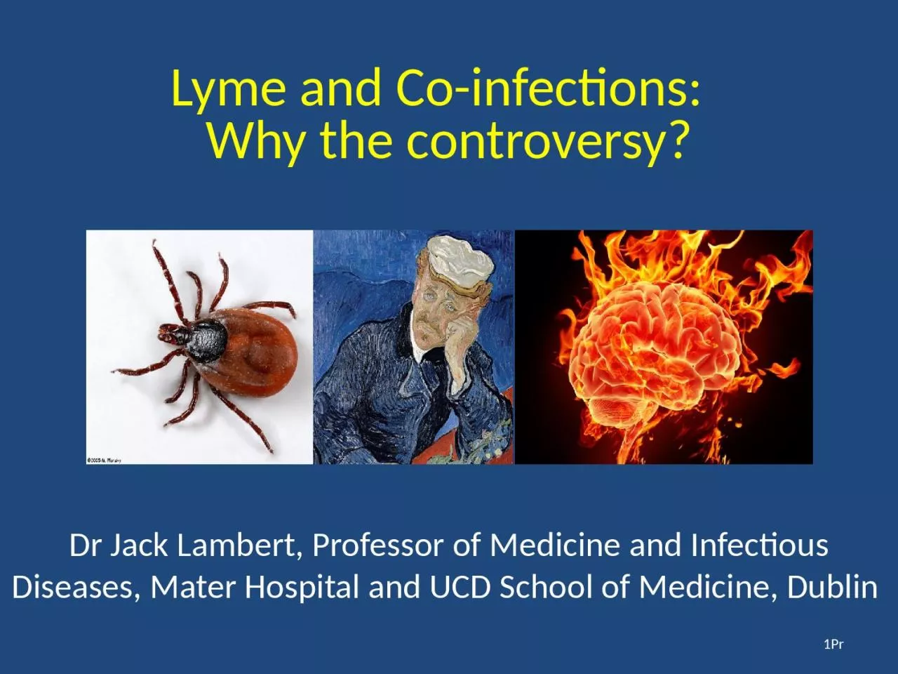 PPT-Lyme and Co-infections: