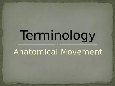 Anatomical Movement Terminology