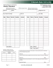 Human Resource Services Hourly Timesheet