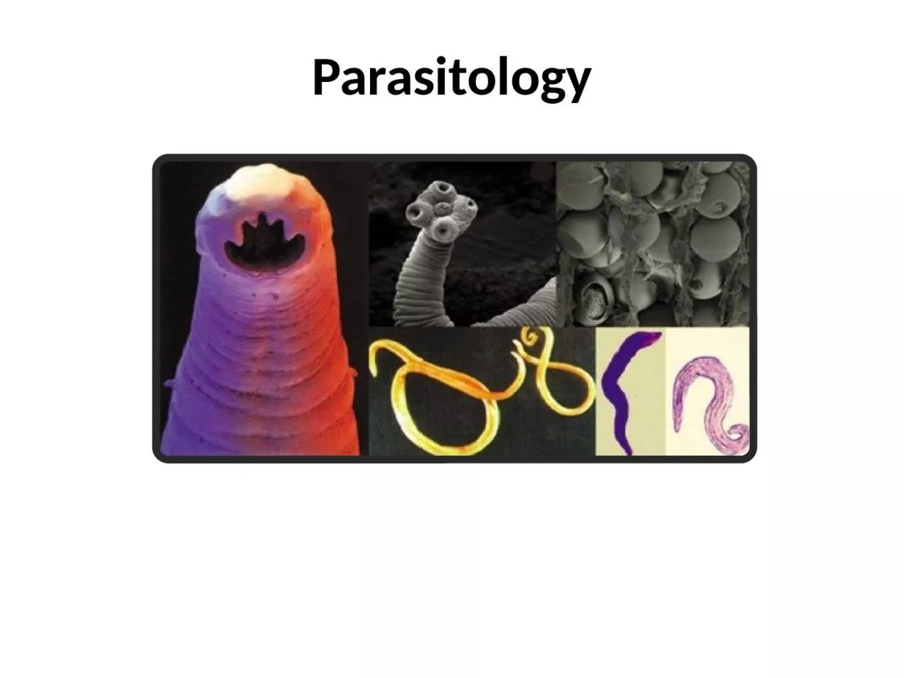 PPT-Parasitology Introduction