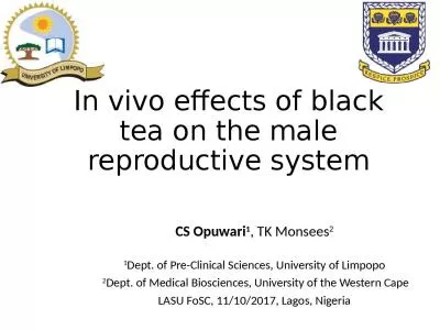 In vivo effects of black tea on the male reproductive system