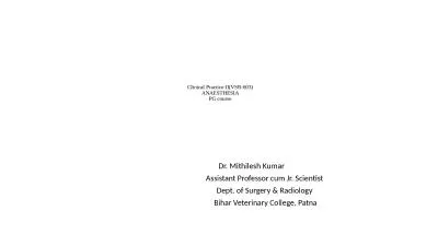 Clinical  Practice-II(VSR-603