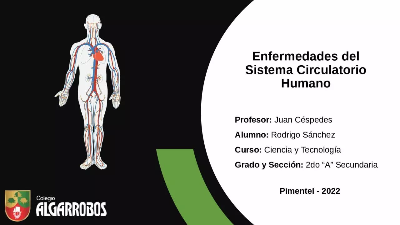 PPT-Enfermedades del Sistema Circulatorio Humano