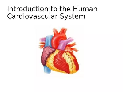 Introduction to the Human Cardiovascular System
