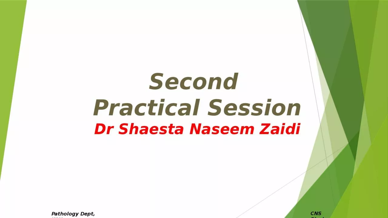 PPT-Second Practical Session