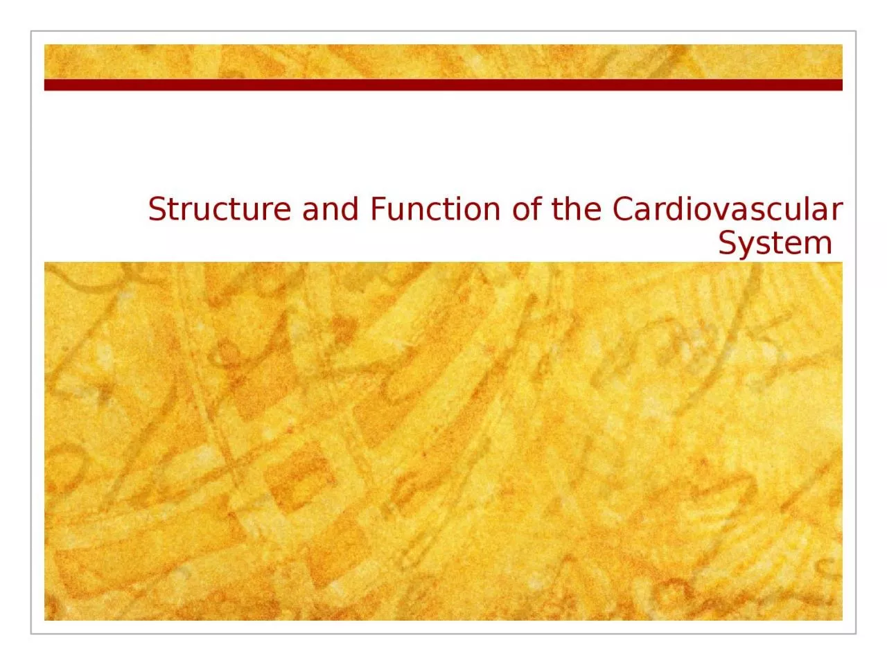 PPT-Structure and Function of the Cardiovascular System