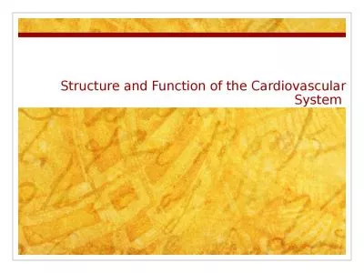 Structure and Function of the Cardiovascular System