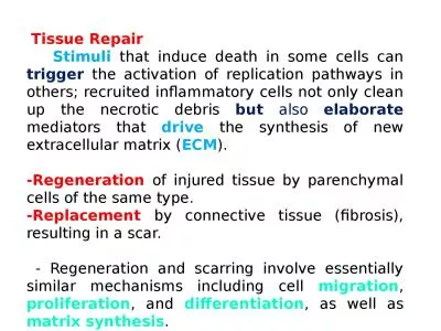 Tissue Repair      Stimuli