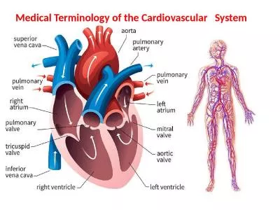 Medical Terminology of the Cardiovascular