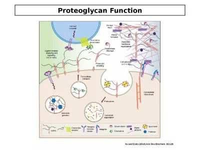 Proteoglycan Function Xu and Esko (2014) Ann Rev Biochem. 83:129