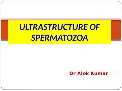 ULTRASTRUCTURE OF SPERMATOZOA