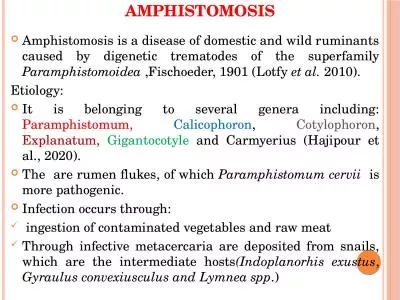 Amphistomosis Amphistomosis