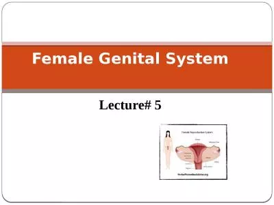 Female Genital System Lecture# 5