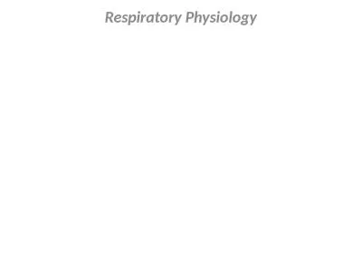 Respiratory Physiology Respiratory Physiology