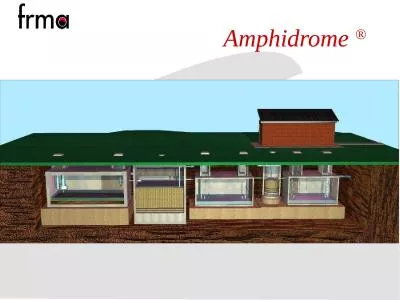 Amphidrome  ® Amphidrome