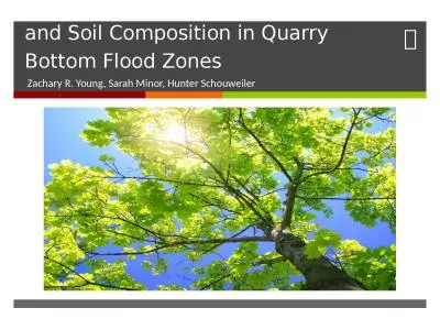 Sycamore Tree Health, Dispersal, and Soil Composition in Quarry Bottom Flood Zones