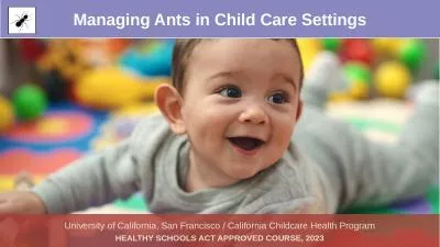 Managing Ants in Child Care Settings