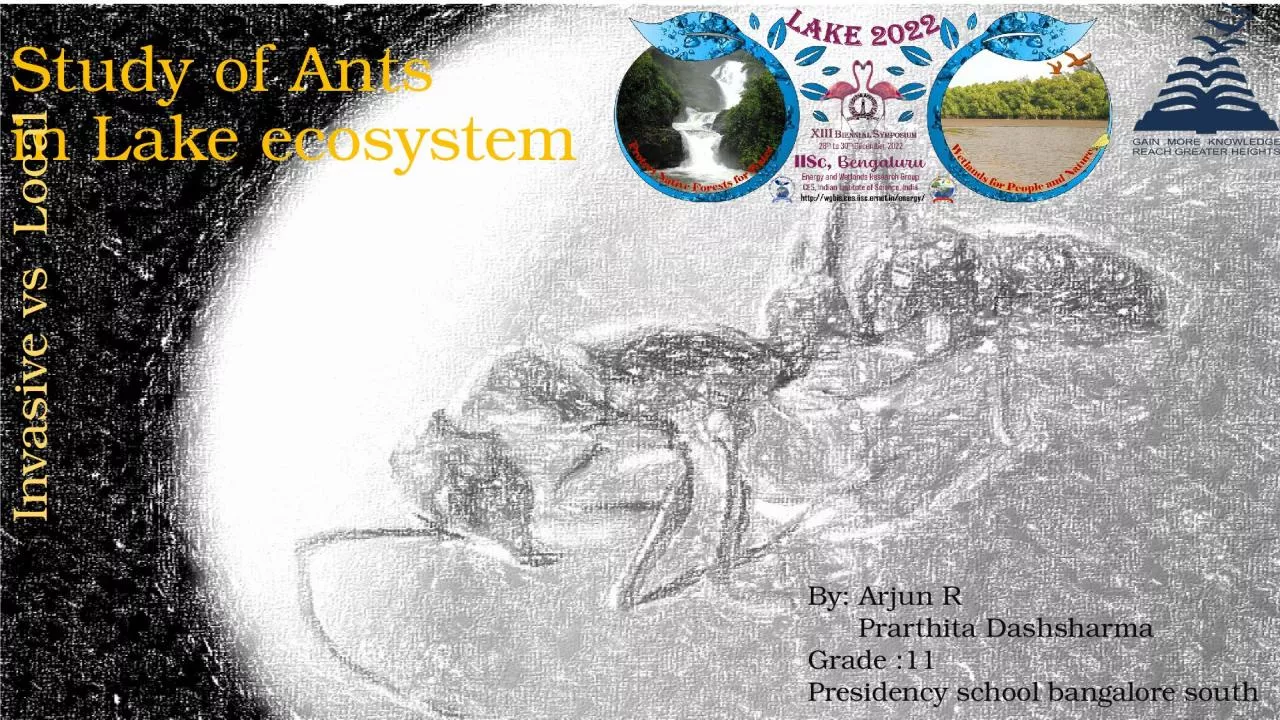 PPT-Study of Ants in Lake ecosystem