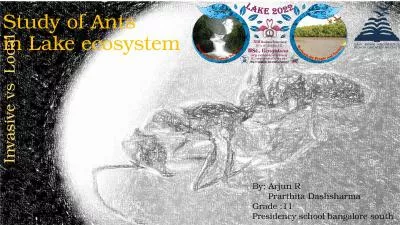 Study of Ants  in Lake ecosystem