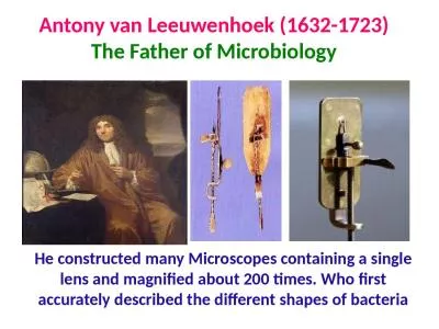 Antony van Leeuwenhoek (1632-1723)