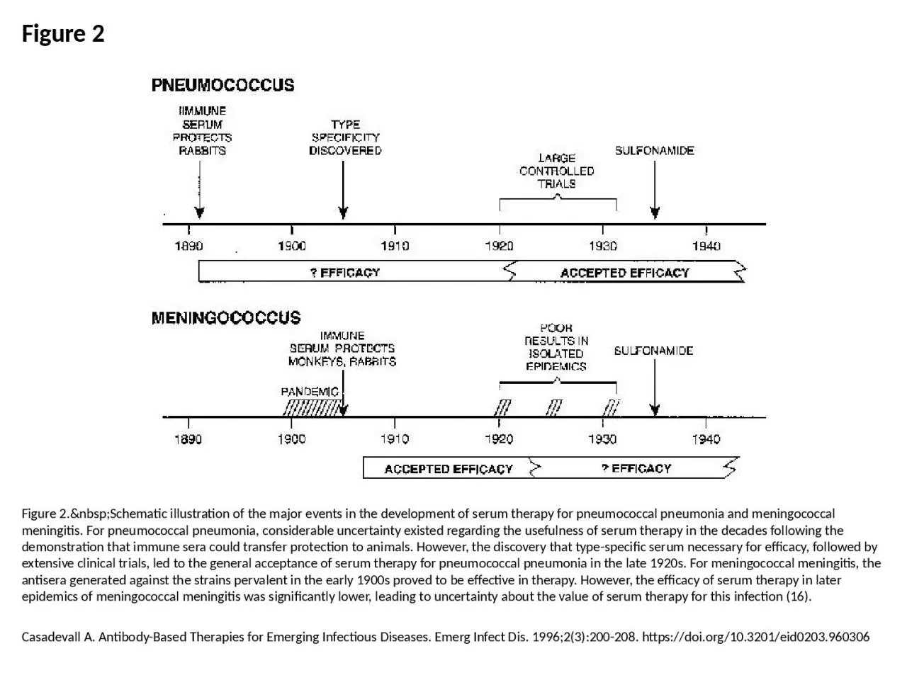 PPT-Figure 2 Figure 2.&nbsp;Schematic illustration of the major events in the development