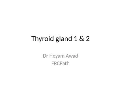 Thyroid gland 1 & 2 Dr