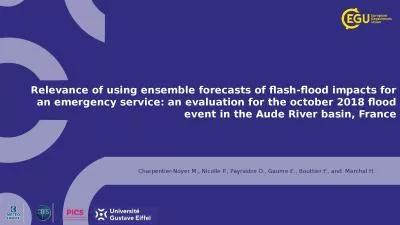 Relevance of using ensemble forecasts of flash-flood impacts for an emergency service: