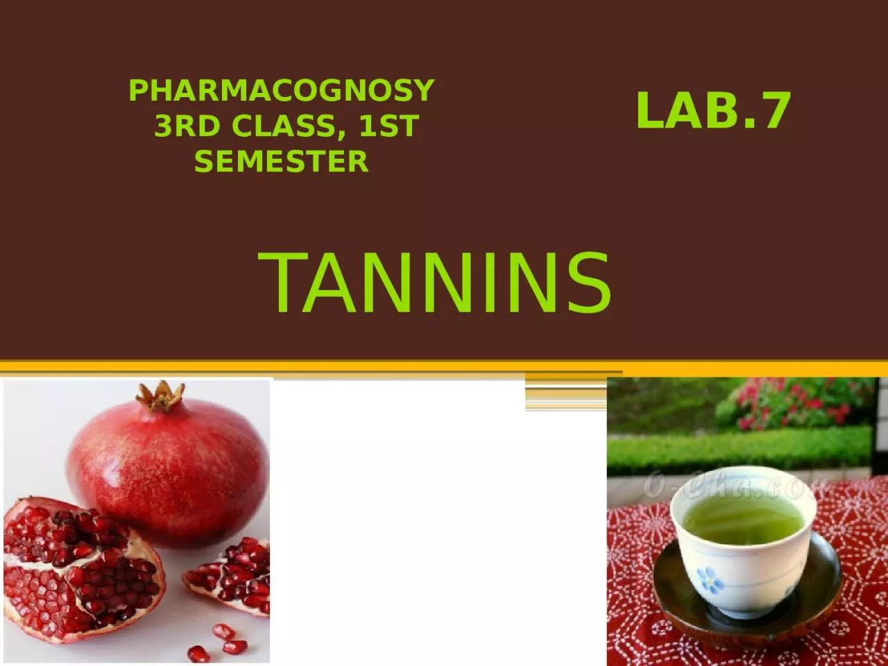 PPT-TANNINS Lab.7 Pharmacognosy