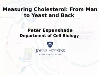 Measuring Cholesterol: From Man to Yeast and Back 
