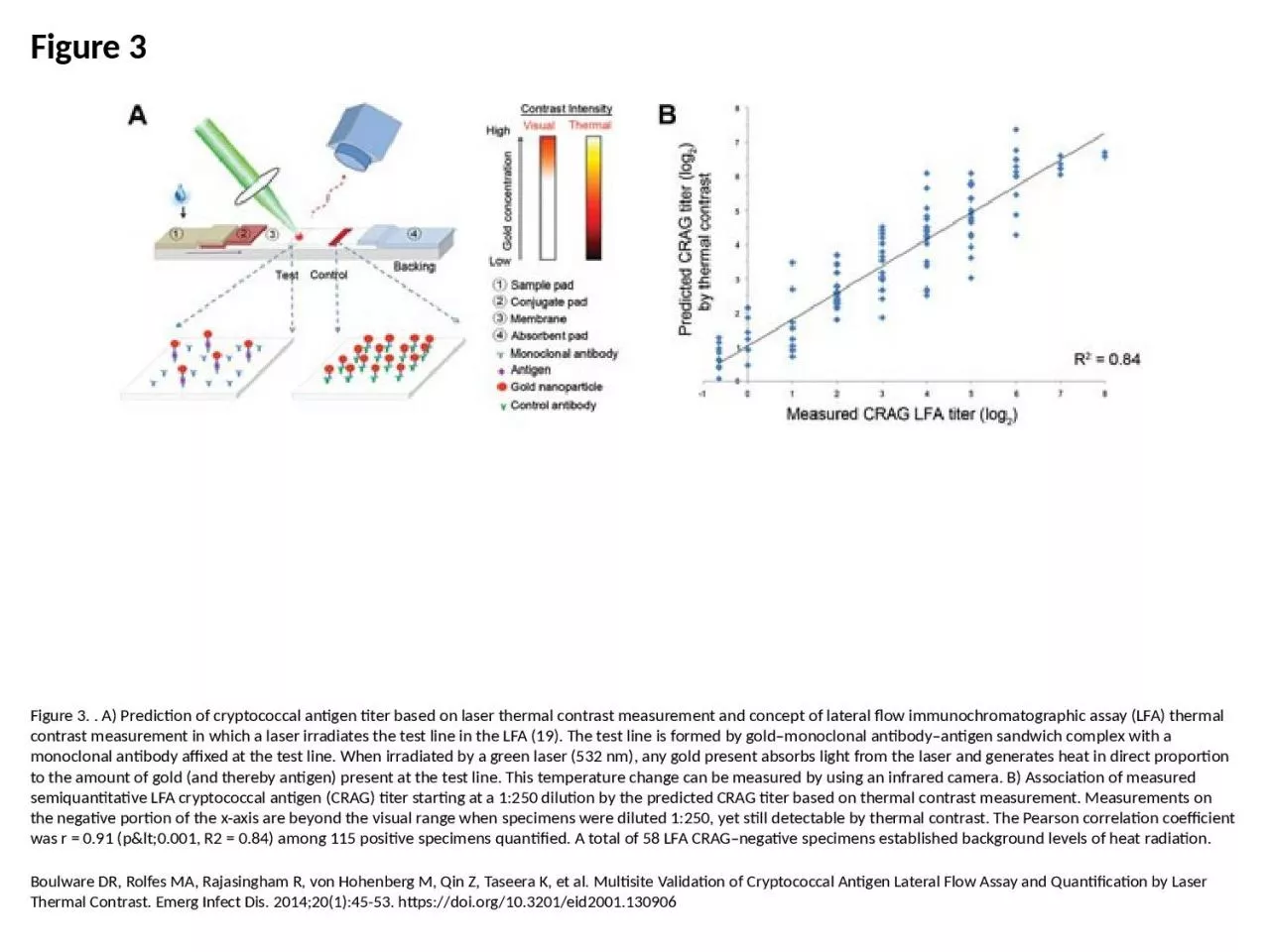 PPT-Figure 3 Figure 3. . A) Prediction of cryptococcal antigen titer based on laser thermal