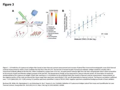 Figure 3 Figure 3. . A) Prediction of cryptococcal antigen titer based on laser thermal