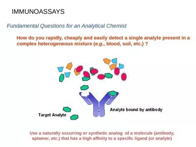 IMMUNOASSAYS   Fundamental Questions for an Analytical Chemist