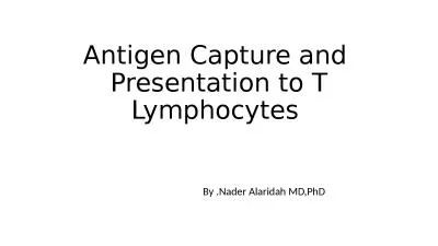 Antigen Capture and  Presentation to T Lymphocytes