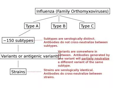 Influenza (Family  Orthomyxoviruses