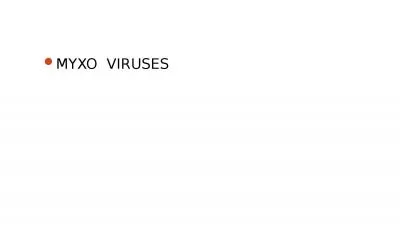 MYXO  VIRUSES Myxoviruses