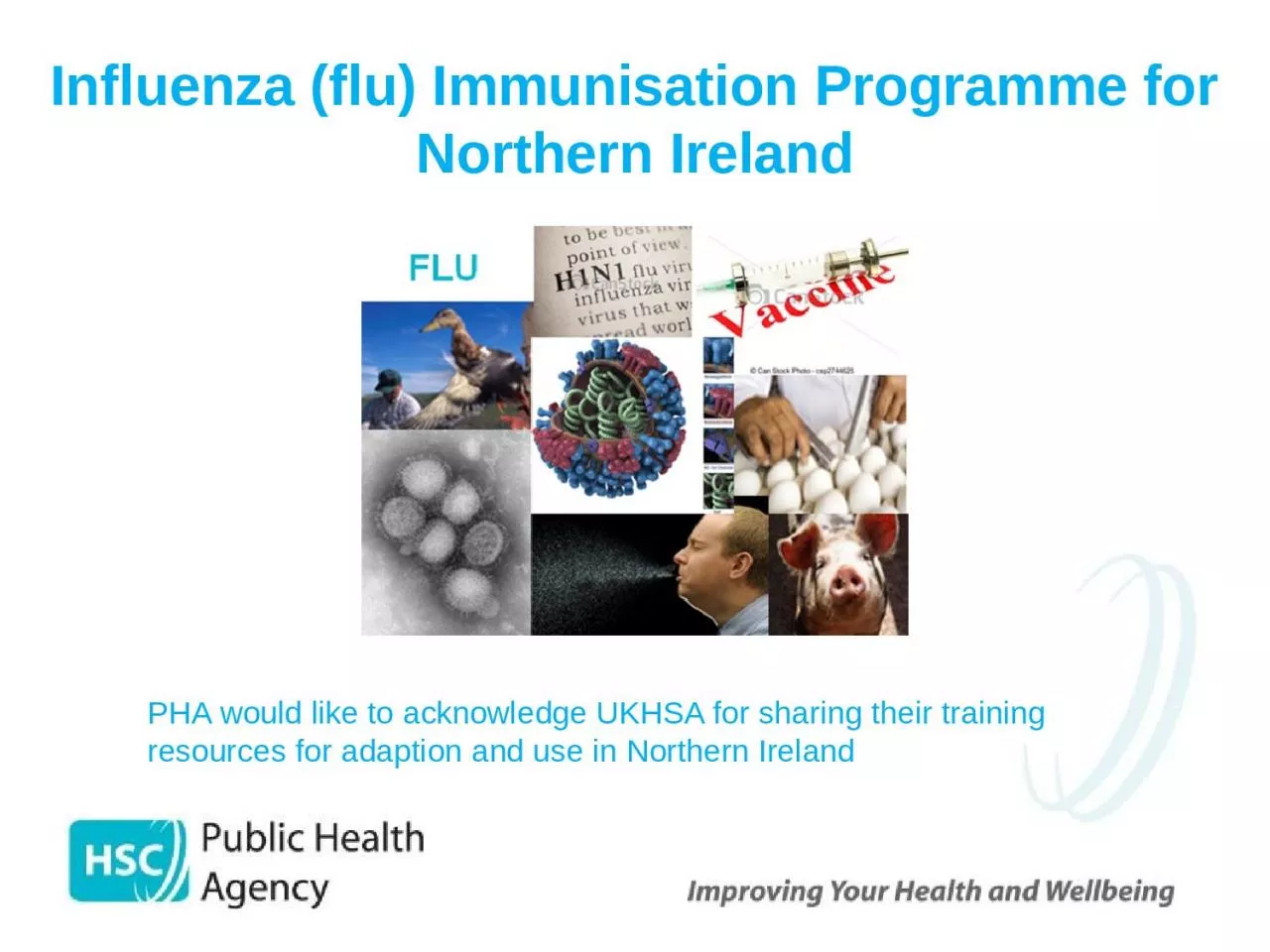 PPT-Influenza (flu) Immunisation Programme for