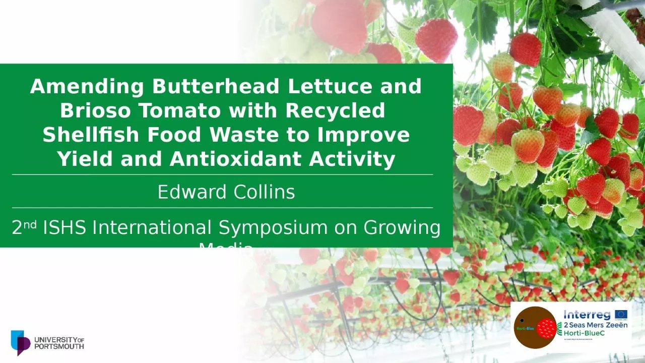 PPT-Amending Butterhead Lettuce and Brioso Tomato with Recycled