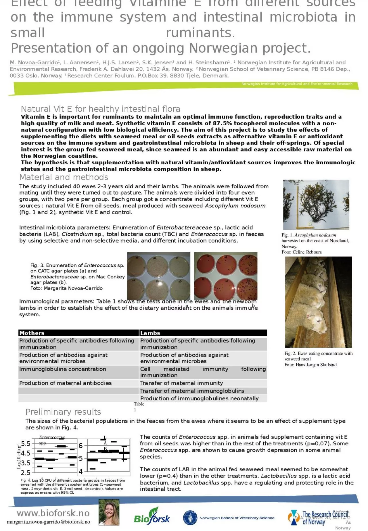 PPT-Effect of feeding Vitamine E from